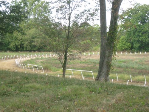 Property photo 62 - 80 Acres Offered in 4 Tracts - Horse Farm